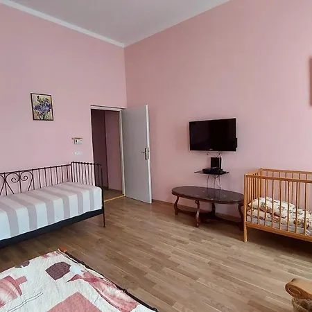 Διαμέρισμα Apartments Festival Κάρλοβι Βάρι