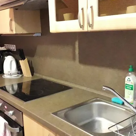 Διαμέρισμα Apartments Festival Κάρλοβι Βάρι